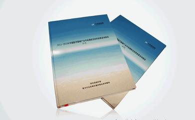 2011-2015年中國市場現狀及投資前景咨詢報告 價格、廠家、圖片全景洞察